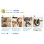 Widget de alimentación de Instagram