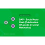 SAP - Social Auto Post (Publication of goods in social networks)